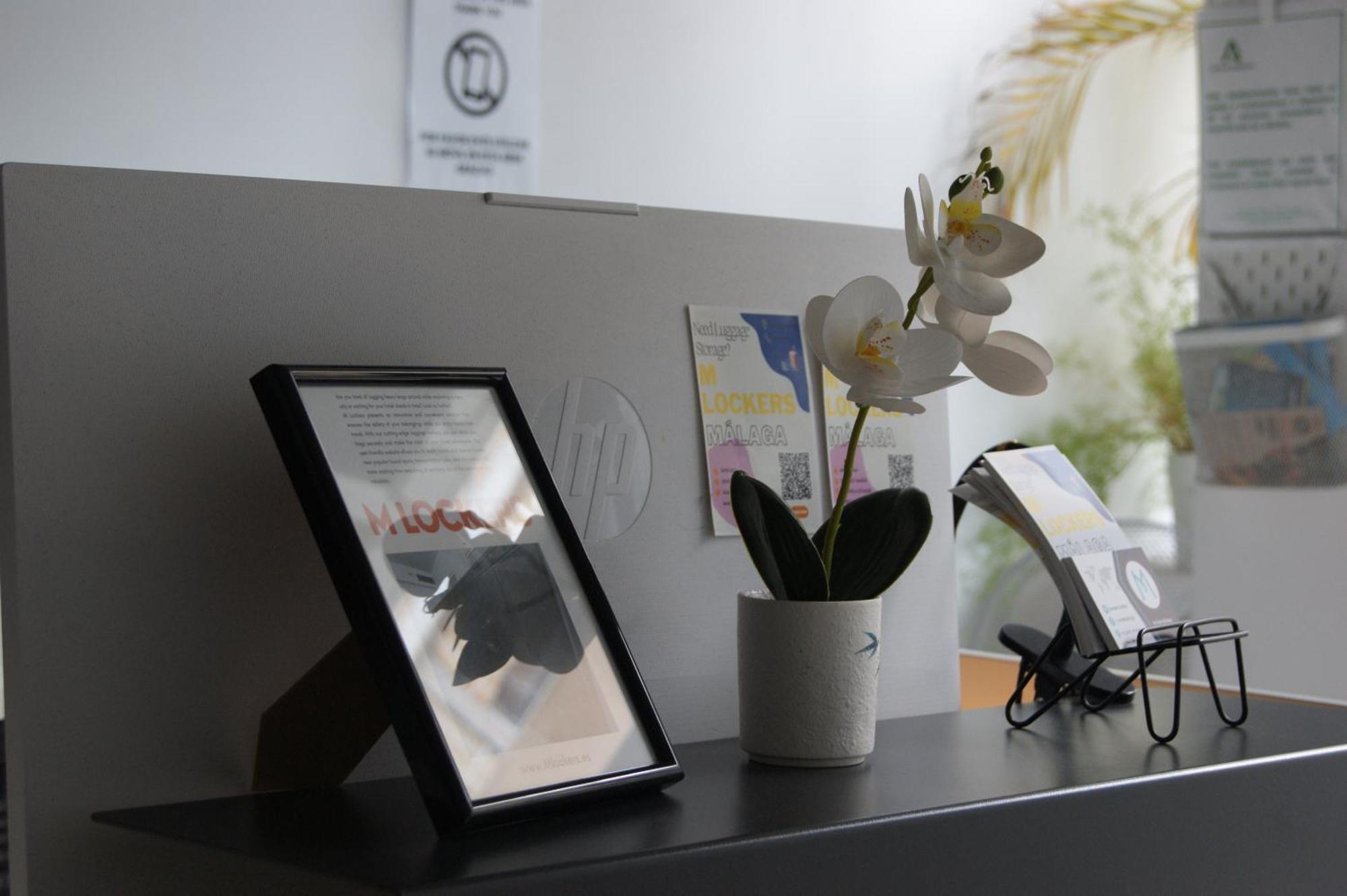 Hotel M Pods Malaga Zewnętrze zdjęcie